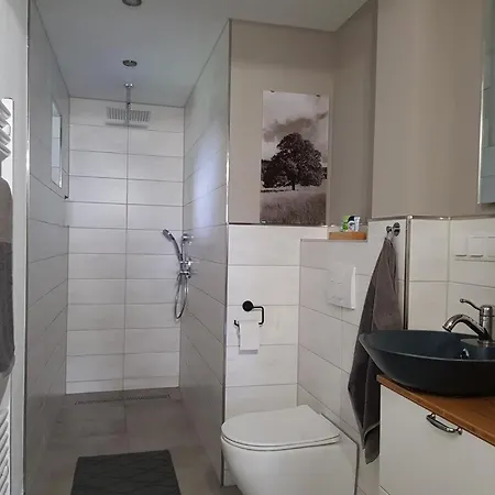 Neu! Modernes Hohensayn *