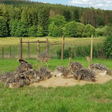 Neu! Modernes Hohensayn *