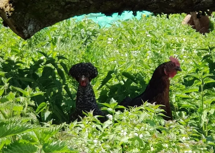 בית נופש Neu! Modernes Hohensayn Lautzenbrücken